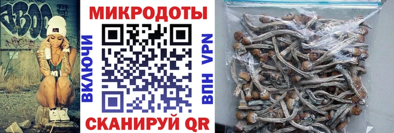 Галлюциногенные грибы мицелий Курган