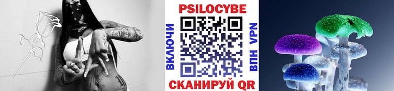продажа наркотиков  Курган  Галлюциногенные грибы Psilocybine cubensis 