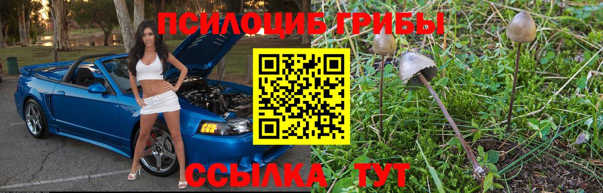 Псилоцибиновые грибы мицелий  Вход с VPN  Псилоцибиновые грибы MAGIC MUSHROOMS  Курган 
