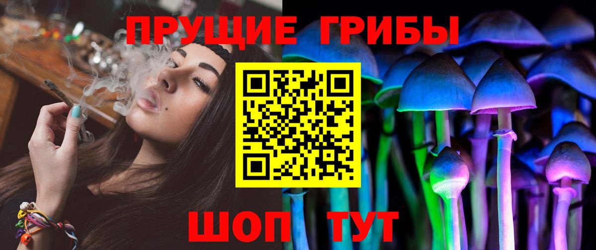 Псилоцибиновые грибы Psilocybe Курган